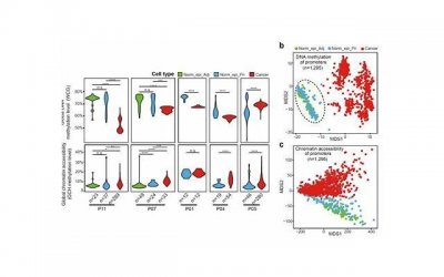 ​情侣聊天必备表情包 动态图像（精选15句）