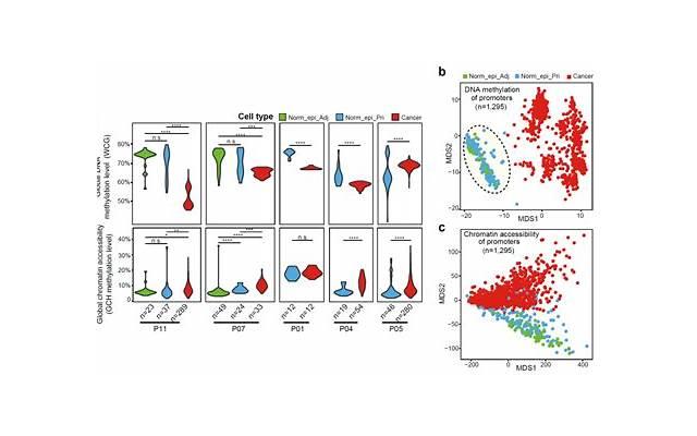 情侣聊天必备表情包 动态图像（精选15句）