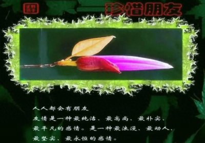 ​朋友聚会感言的经典句子，建议收藏看看