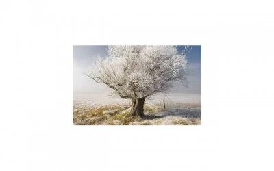 ​抖音外景拍摄文案（拍抖音风景配的文艺文字）