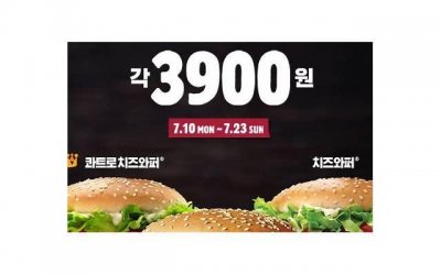 ​浪漫隐晦的文案(暗语表白越难懂越好)