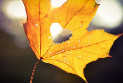​励志的经典句子男人(男人奋斗的经典句子)