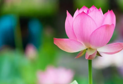 ​愚人节开的玩笑有哪些 愚人节文案(收集78句)