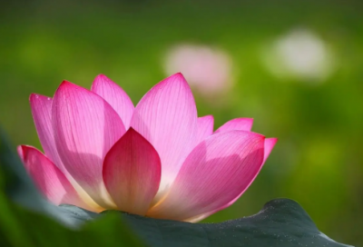 ​十二月你好的唯美句子和文案简短