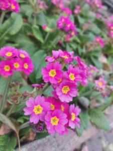 ​春暖花开的句子短句唯美（25句春光美好的文案）