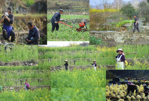 1687611497884713.png image.png