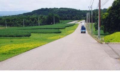 伤感爱情短信大全