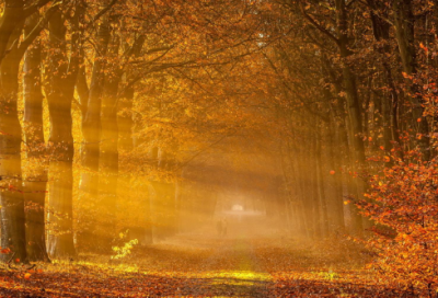 ​关于吸引人的幽默微信说说 微信幽默说说