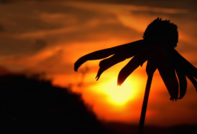 ​关于晚安简短温馨句子 晚安说说唯美句子