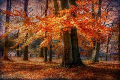 ​祝老公生日朋友圈文案(精选81句)