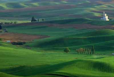 ​且听风吟经典语录(且听风吟经典语录)