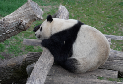 ​阳光明媚的说说朋友圈 阳光明媚的天气朋友圈说说