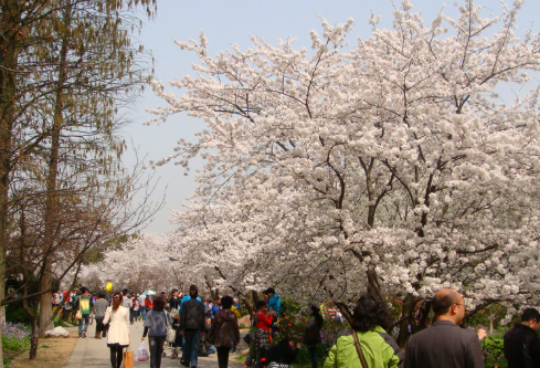 1687601827845743.png image.png