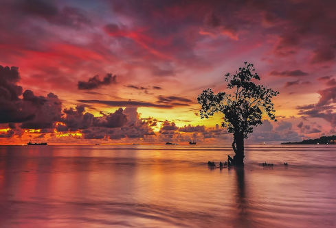 1711142226774914.png image.png