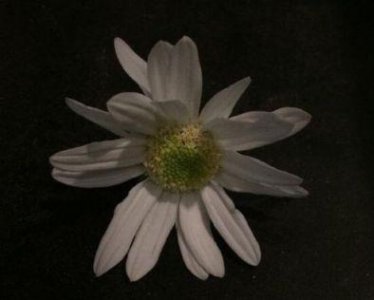 ​像个小丑一样心情说说 小丑的朋友圈说说(30句)