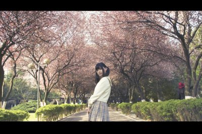 ​《表白cp的一句话》推荐20句