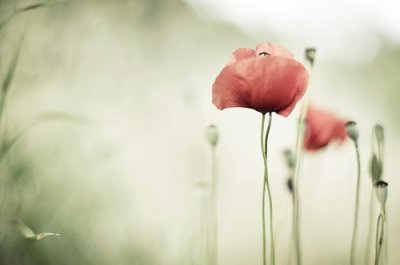 ​成熟男人常用的经典说说(精选78句)