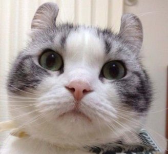 ​早安简短撩人情话[48句] (一天一句)