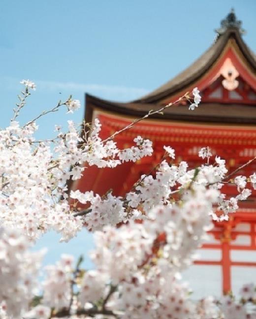 如何机智应对别人的调侃