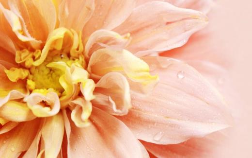 满月酒短信邀请函