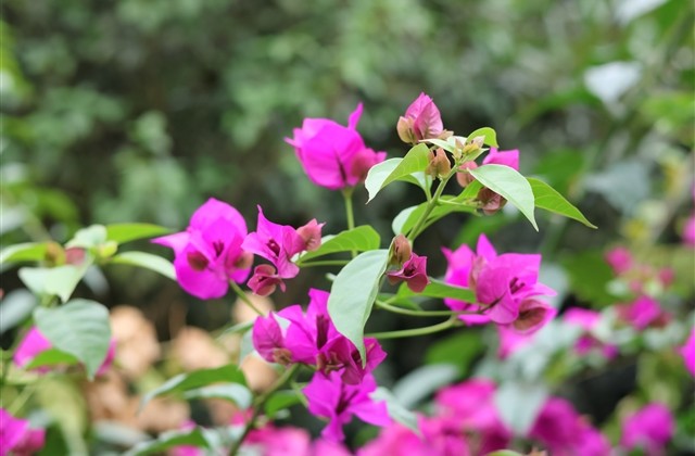 励志成熟稳重的微博网名(177个)