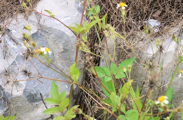 群昵称网名大全