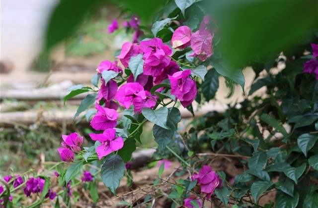 特别有意思的情侣qq网名一对(精选145个)