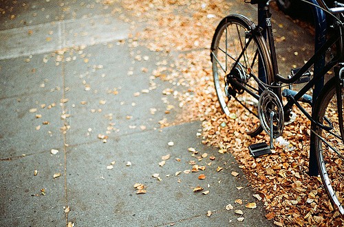 小学生好句子大全