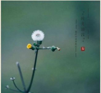 ​岁月的句子短句唯美（20个静享时光岁月的极简句子，岁月静好优美文案）