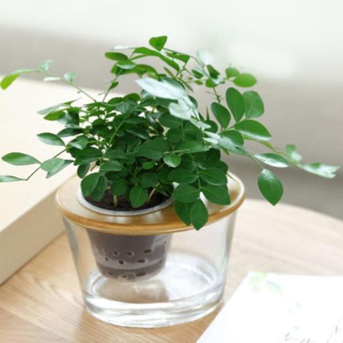 适合发朋友圈的短语