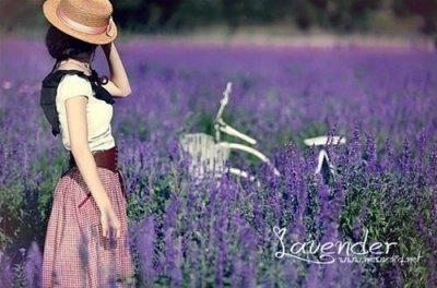 ​有意境的农家乐饭店名,创意十足