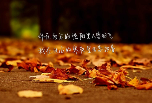 1685517734105649.png image.png