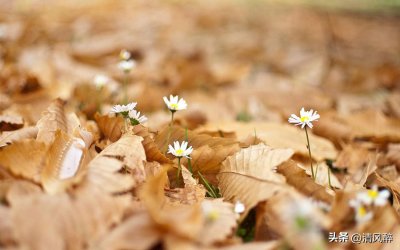 ​形容友谊的句子说说