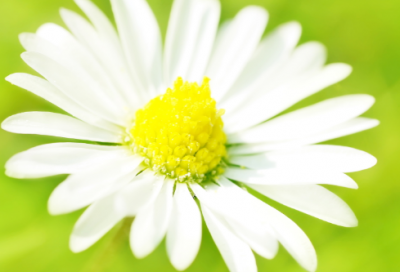 ​男人大气沉稳有格局的网名大全