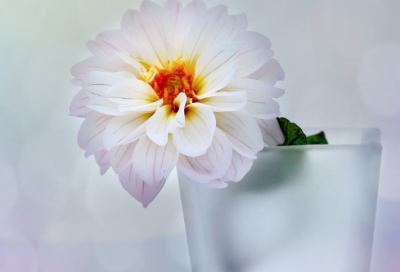 ​30岁男人内涵网名(131个)