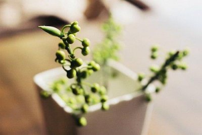 ​给自己换个好心情的网名