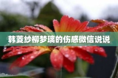 ​韩菱纱柳梦璃的伤感微信说说