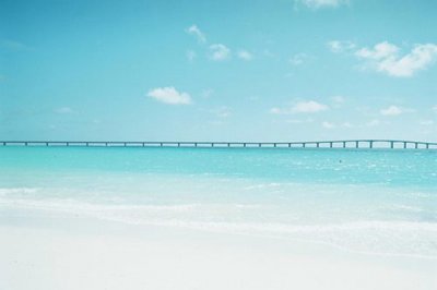 ​伤感说说句子86句