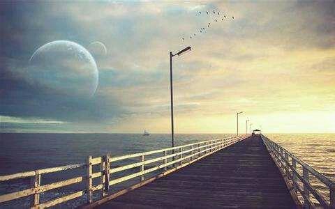 2025年简单的花的优美语句合集96条