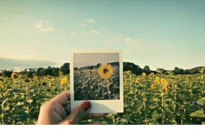 学会赞美别人的句子