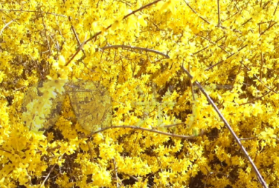 ​qq吸引人的说说(精选27句)