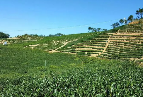 1708311595760027.png image.png