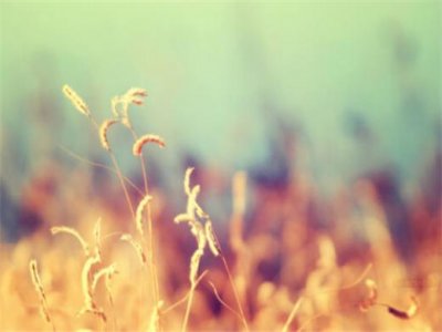 ​过生日发朋友圈的句子（2026年适合生日发的朋友圈）