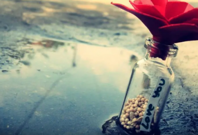 ​致自己的心灵鸡汤文案(经典鸡汤文案)