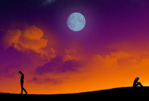 1685537270251512.png image.png