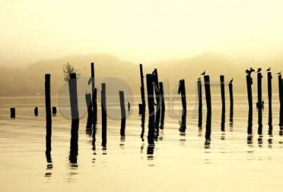 ​cf游戏名字大全