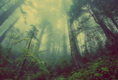 ​cs战队名字300个