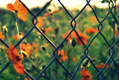 ​qq靓网名(精选300个)