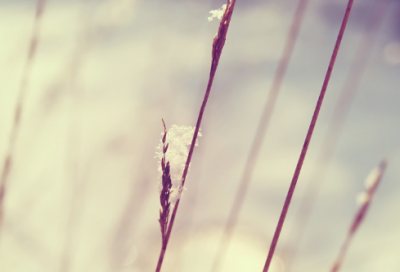 ​好听的微信账号名字350个