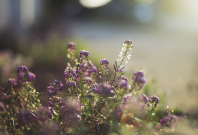 ​男人奋斗网名（精选330个）